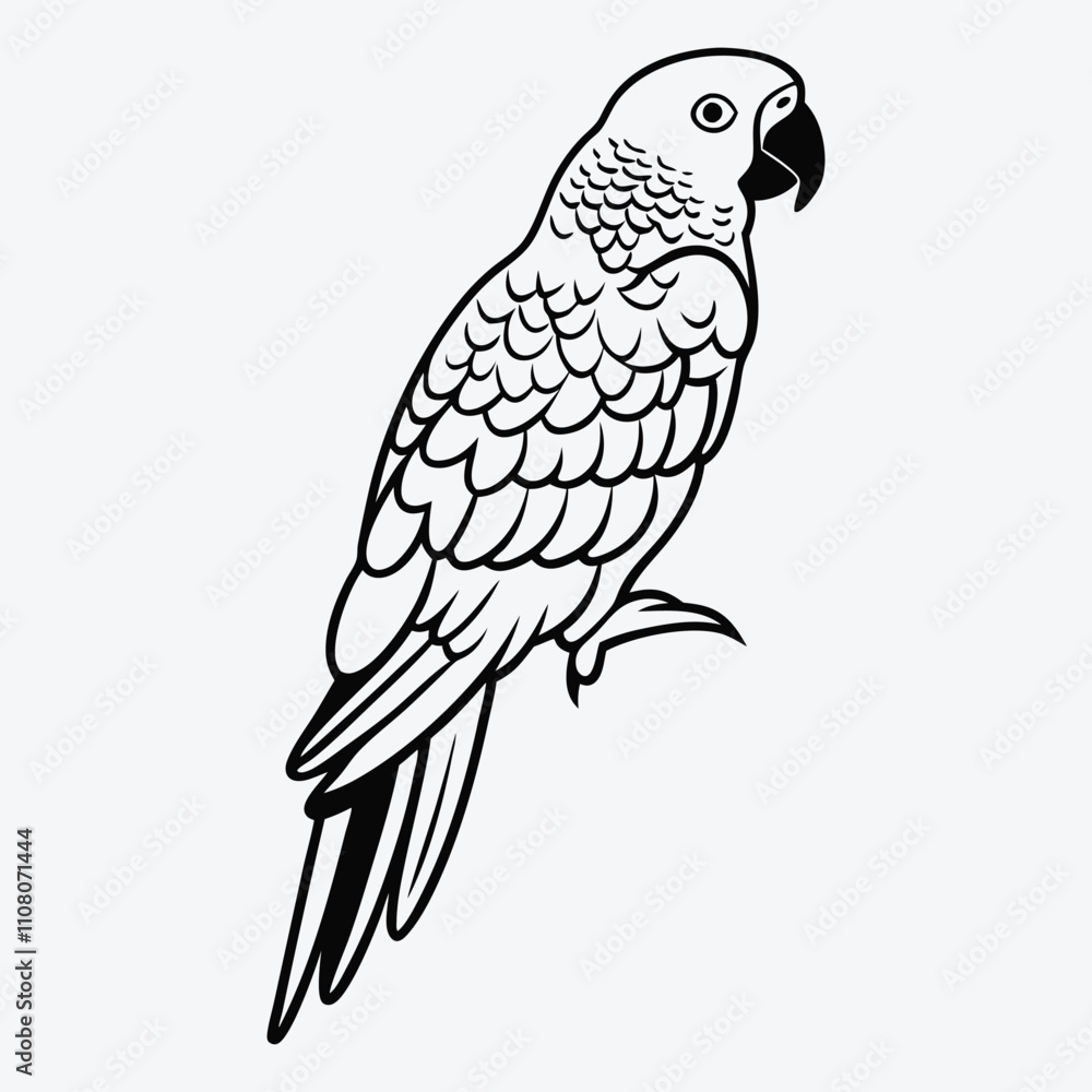 Fototapeta premium African Grey Parrot line art White background illustration Generative Ai
