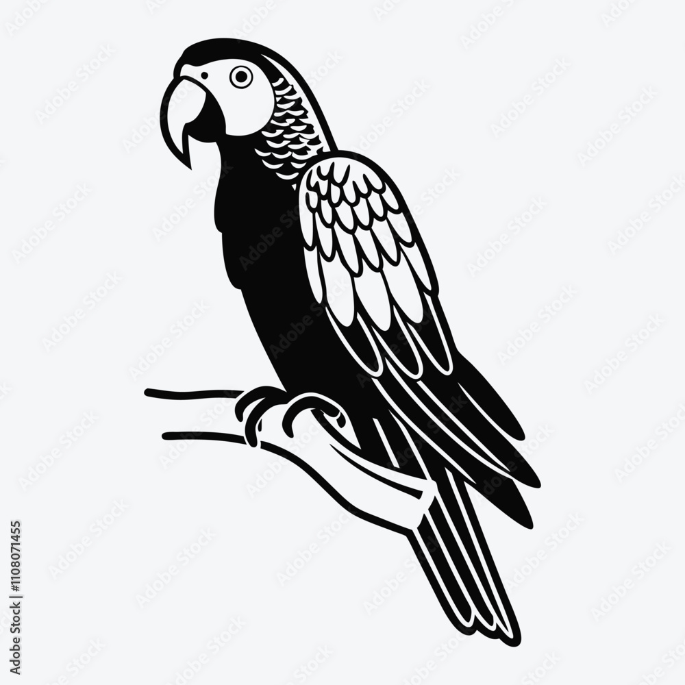 African Grey Parrot line art White background illustration Generative Ai