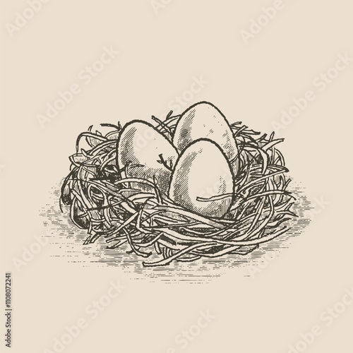 Eggs in a nest, illustration in the style of a medieval engraving