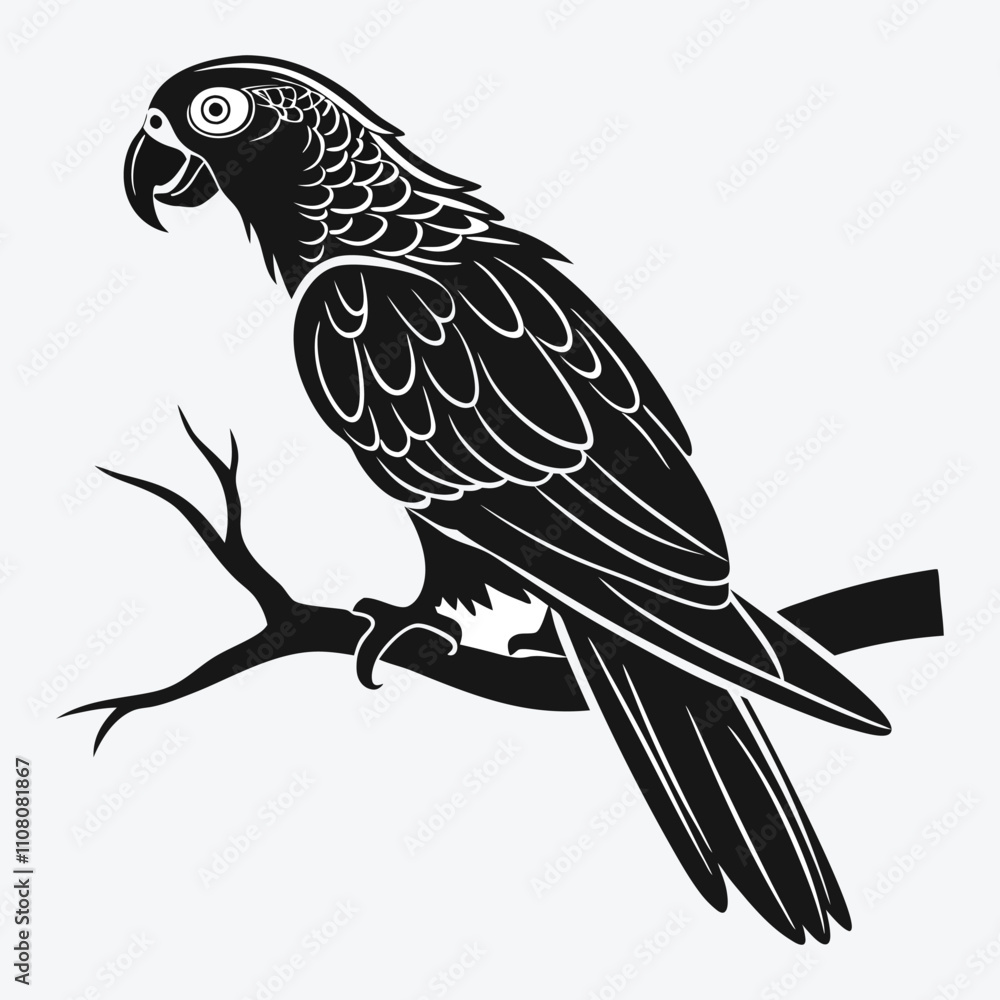 Fototapeta premium African Grey Parrot vector White background illustration Generative Ai