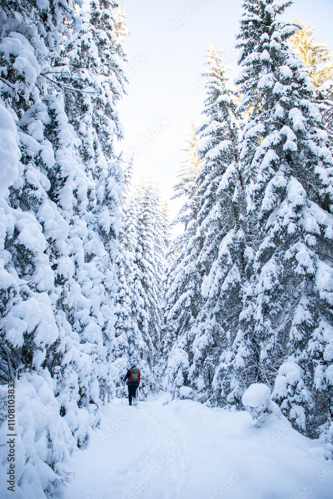 Obraz premium man trekking in magical winter landscape with snowy fir trees