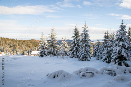 Wallpaper Mural magical winter landscape with snowy fir trees Torontodigital.ca