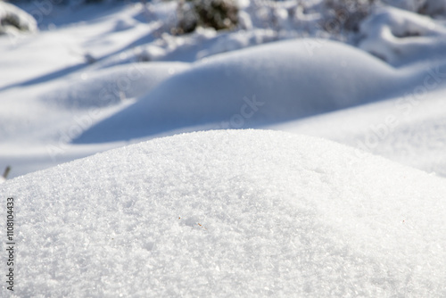 magical winter landscape with snowy fir trees