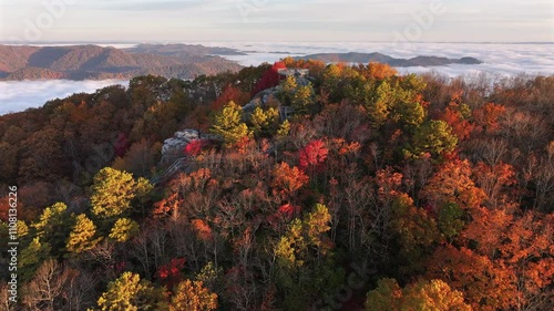 Vibrant Fall Foliage Morning Drone View