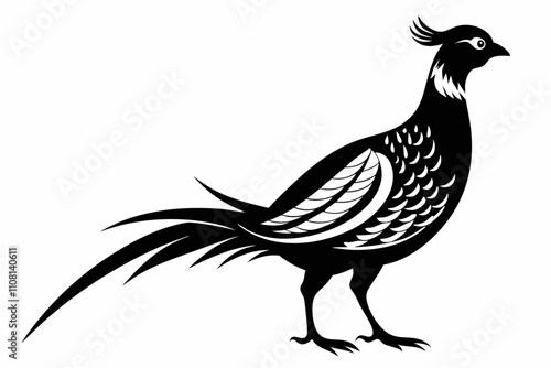 pheasant line art silhouette vector illustration