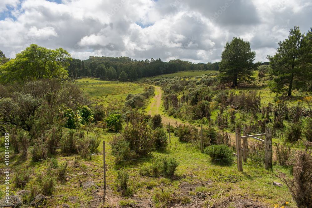 Naklejka premium A view of the countryside in Sao Francisco de Paula, South of Brazil