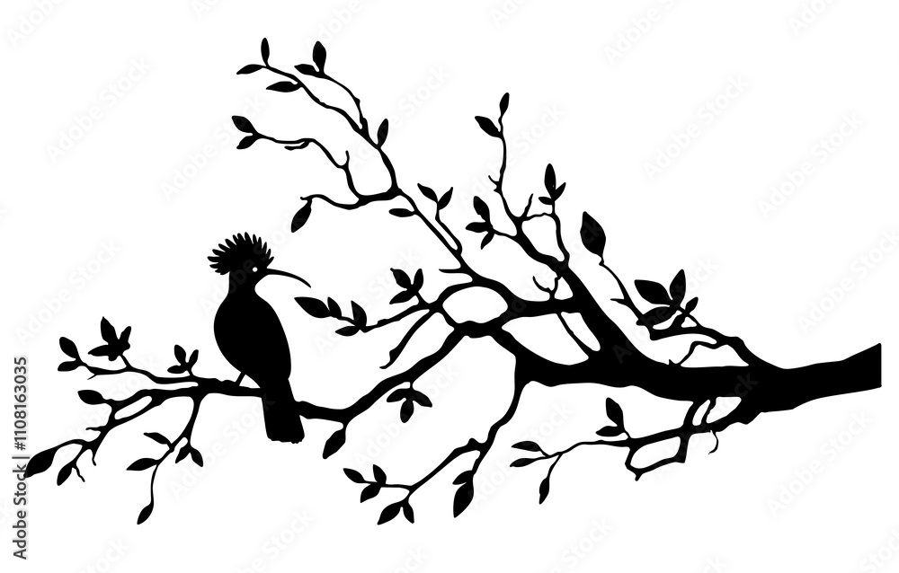 Olive Branch Oak Birds Hoopoe Owl Night for Wall Drawing Olive Branch Oak Birds Hoopoe Owl Night for Wall Drawing