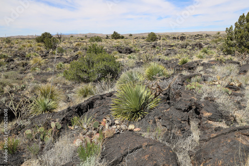 Carrizozo Malpais lava flow, New Mexico photo