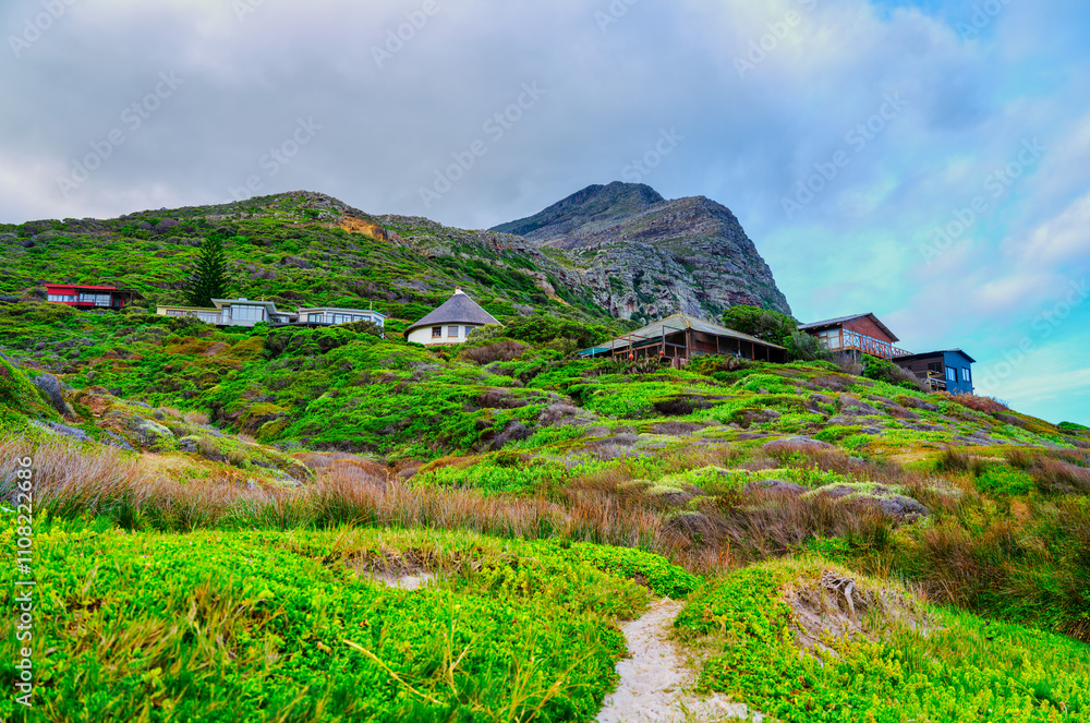 Trail ascending to the houses at Smitswinkel Bay with the mountain covered in lush foliage, Cape Peninsula, South Africa