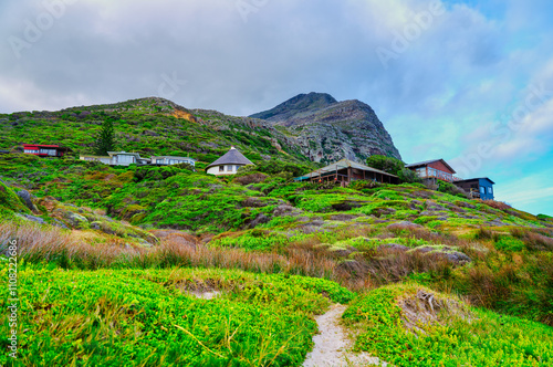 Obraz na płótnie Trail ascending to the houses at Smitswinkel Bay with the mountain covered in lush foliage, Cape Peninsula, South Africa w salonie