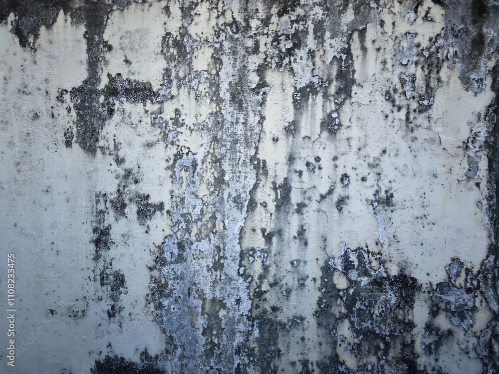 Obraz premium old texture of wall