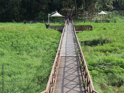 wooden bridge over a lake covered in vines at the meranti etam tourism in Balikpapan
 photo