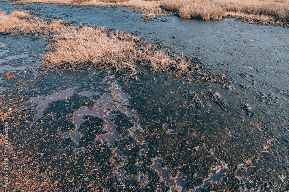 Spilled oil products polluting the soil and water in a nature reserve