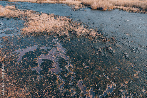 Obraz na płótnie Spilled oil products polluting the soil and water in a nature reserve w salonie