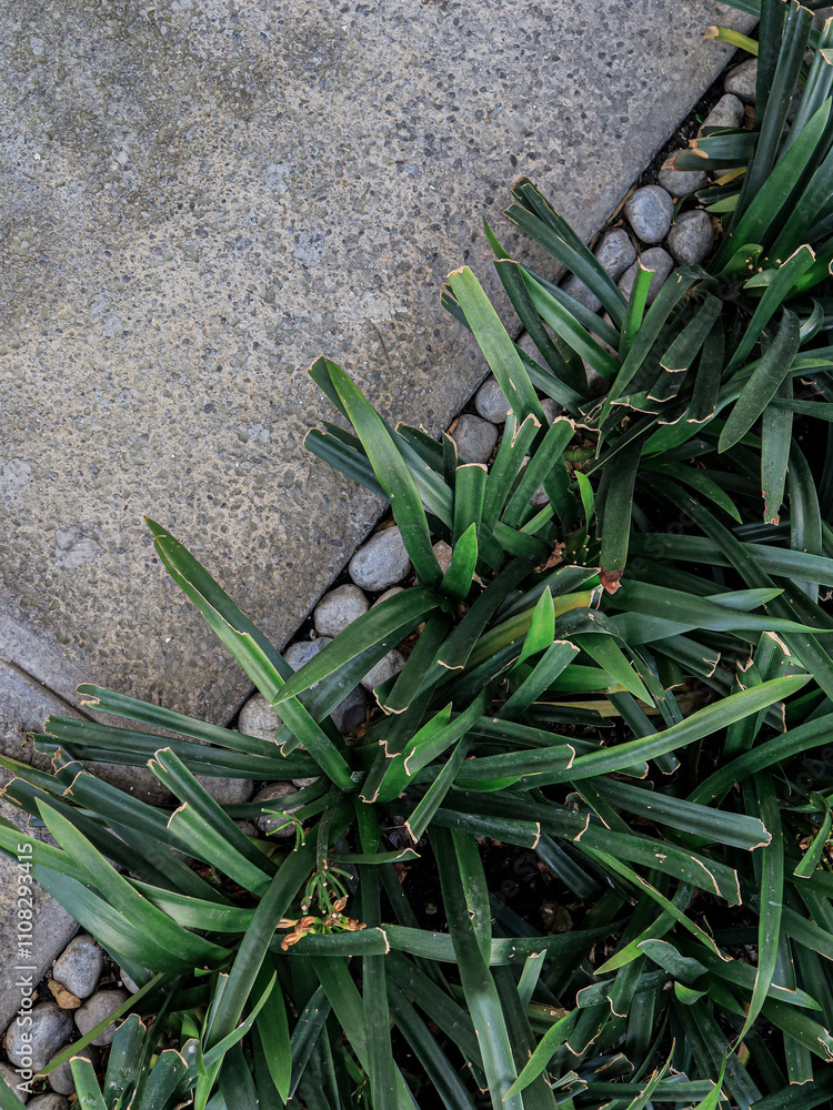 Obraz premium Limite