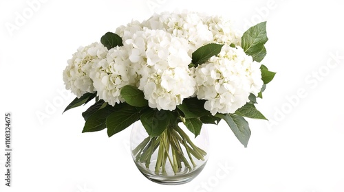 Elegant white hydrangea arrangement in a simple vase, perfect for home decor and brightening any interior space. 