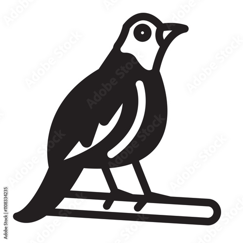 Quail 