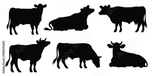 Set of Ayrshire cow silhouettes in various poses. isolated vector on white background.