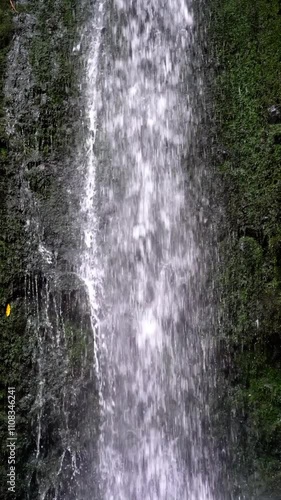 Wallpaper Mural Water Cascading Over Mossy Rocks at Nicols Falls: Serene Forest Waterfall Torontodigital.ca