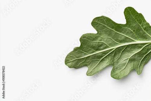 Close-up of a single green arugula leaf on white background