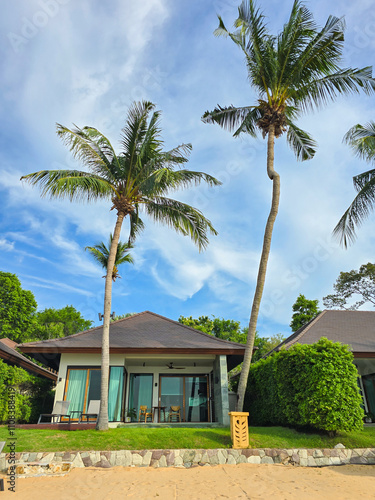 Serenity and Sunshine in Thailand' Tropical Paradise photo