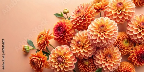 A vibrant display of orange and peach dahlia blooms arranged in a loose, organic cluster against a soft peach background.