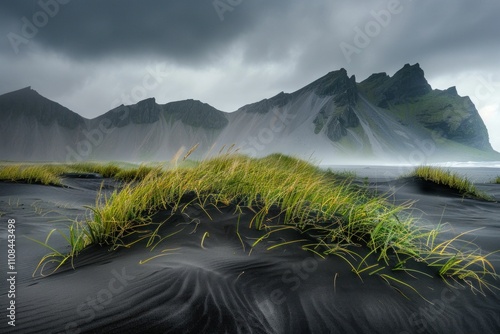 Dramatic landscape of black sand beach with tall grass against stormy mountains, dark clouds looming above, an atmospheric view that captures nature s raw beauty photo