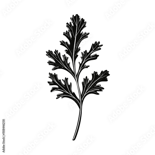 Decorative illustration of a coriander leaf showcasing detailed natural design