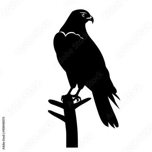 Black silhouette of a hawk perched on a tree branch against a white background