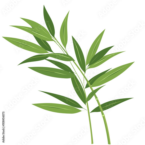 Fresh green bamboo leaves arranged gracefully on a white background