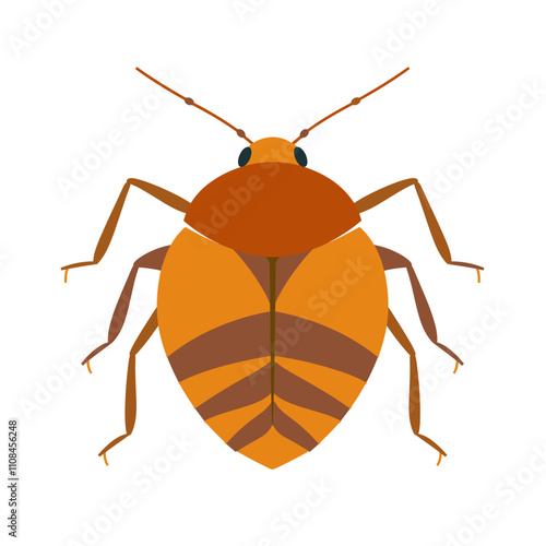 Graphic illustration of a bedbug showcasing its features and coloration