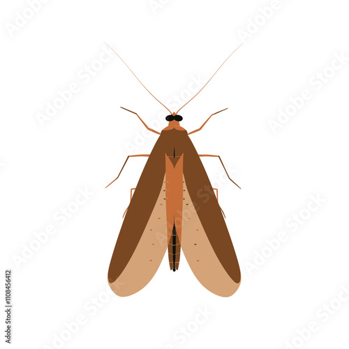 Detailed illustration of a moth showcasing its unique features and colors in a natural context