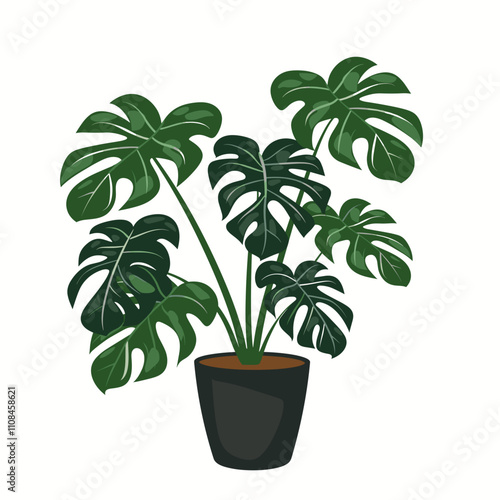 Decorative monstera plant in a black pot enhances indoor decor with lush greenery