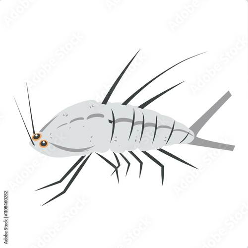 Detailed illustration of a shrimp showcasing its features in a simplistic design