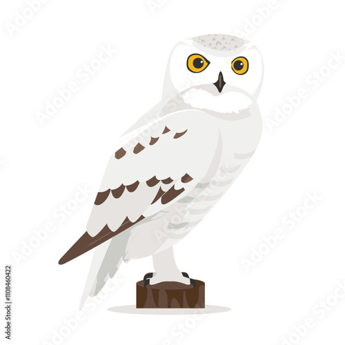 Snowy owl on perch in a simple illustration showcasing its distinct features