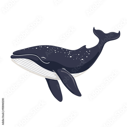 Whale swimming gracefully in clear ocean waters under bright sunlight