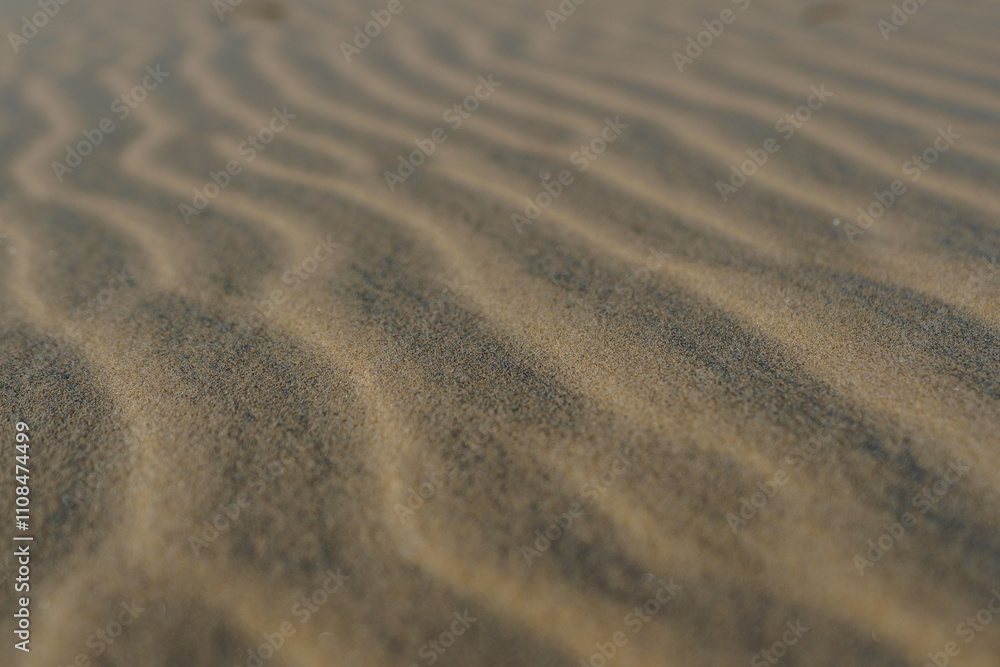 Fototapeta premium Mojave Desert, California, Kelso Sand Dunes