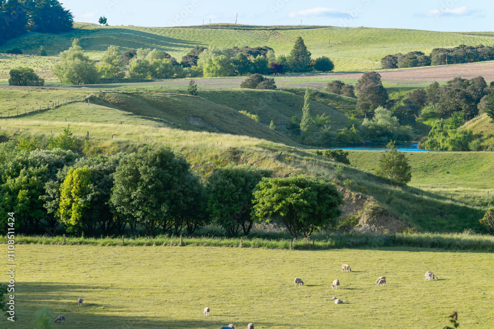 Fototapeta premium Rural landscape at Wallingford
