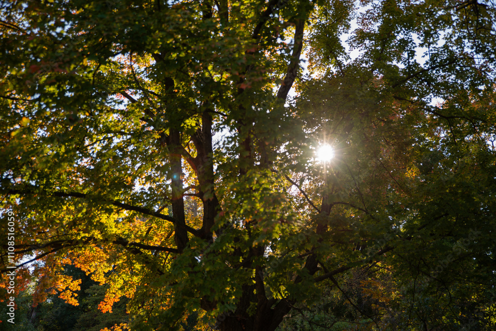 Obraz premium Autumn is approaching