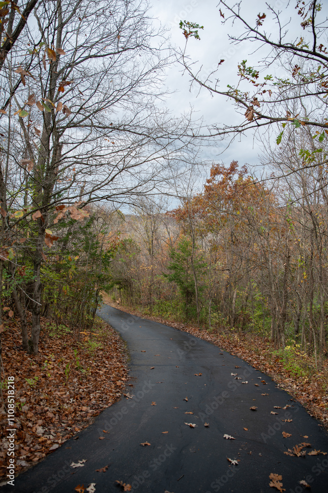 Fototapeta premium Missouri hiking trails in the fall