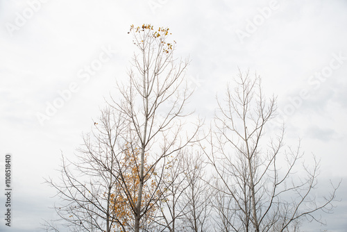 Missouri hiking trails in the fall