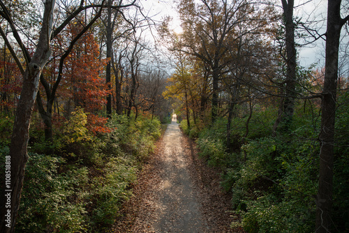 A walk among the autumn leaves