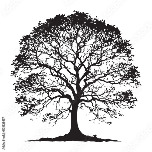 Tree Silhouette illustration Vector design. Oak bare tree silhouette vector illustration. tree silhouette isolated on white background