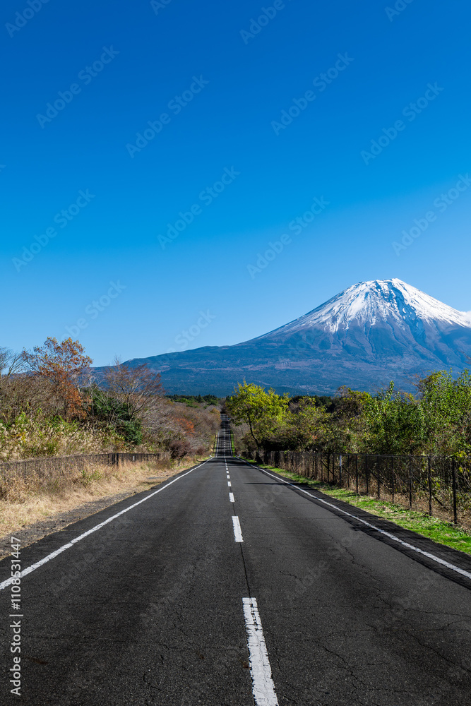 Naklejka premium 富士山へ一直線に向かう一本道