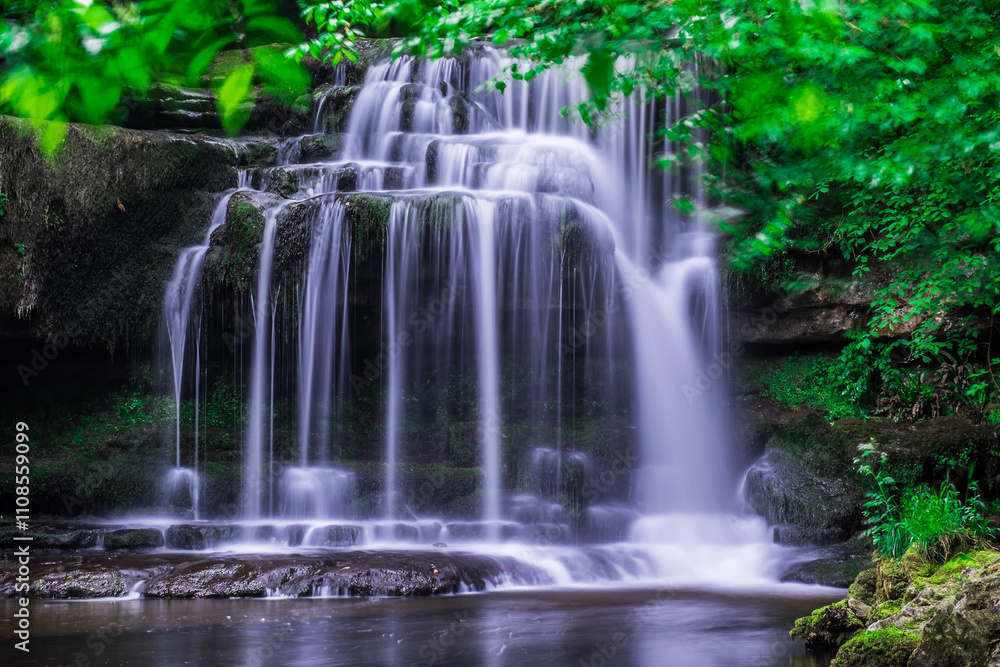 Waterfall in the forest Waterfall in the forest
