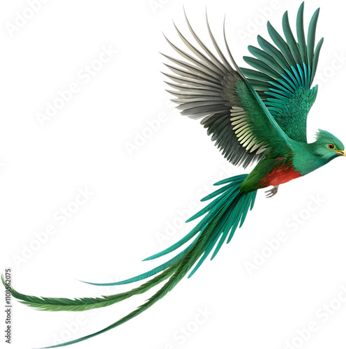 Vibrant Quetzal bird radiates extraordinary beauty with magnificent, iridescent plumage.