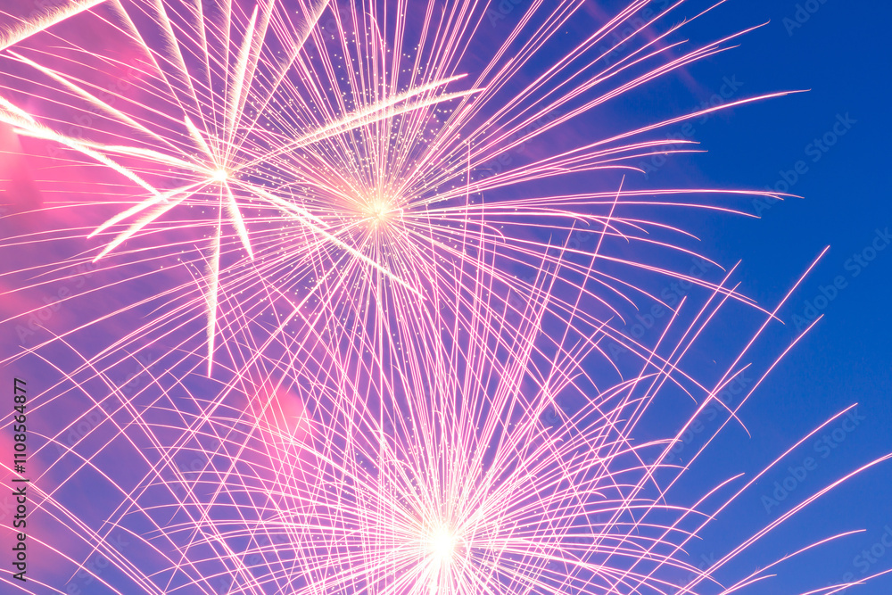 Fototapeta premium Abstract background. Beautiful colorful holiday fireworks in the evening sky.