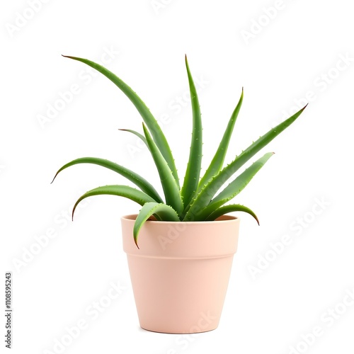 Wallpaper Mural Aloe vera plant in a pot isolated on white background Torontodigital.ca