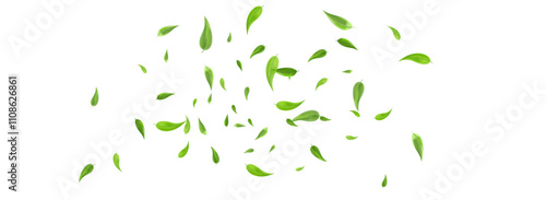 Leaves_Vortex_Flying_Vector_Background_167.eps
