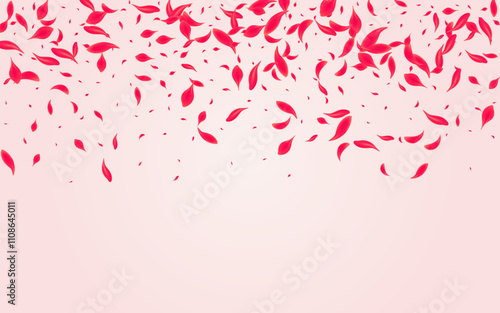 Pink_Petal_Flying_Vector_793.eps